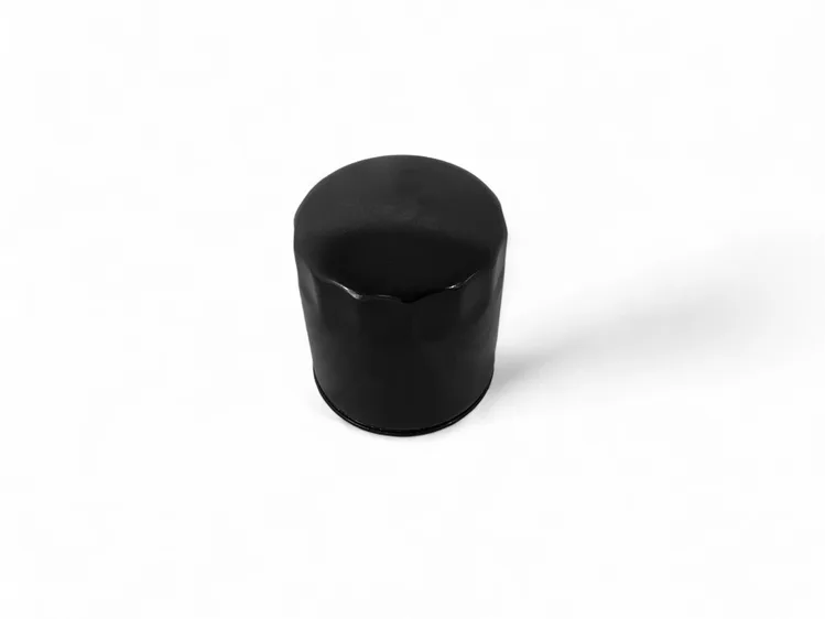 OIL FILTER FOR CARMEL AND VENICE