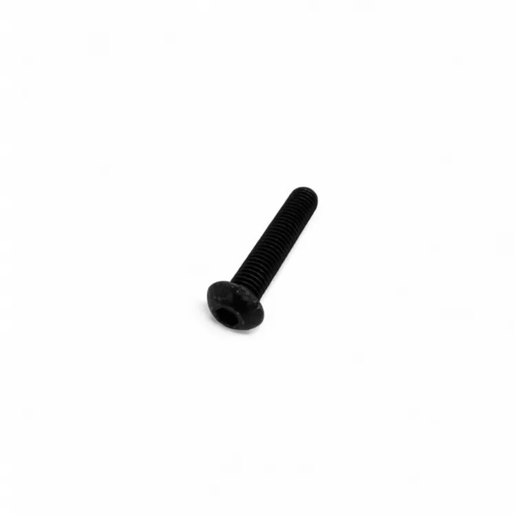 M8 x 40 mm black stainless steel button bolt Venice GT
